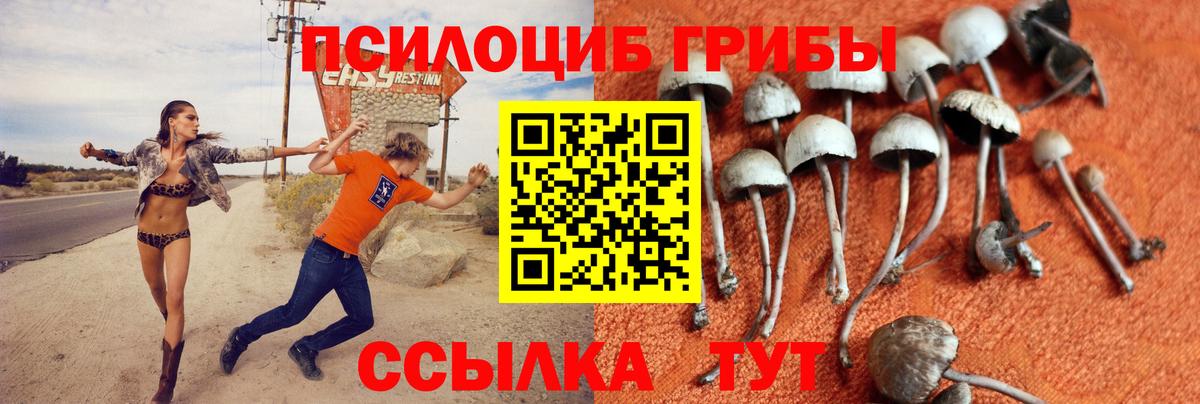 Псилоцибиновые грибы MAGIC MUSHROOMS Учалы